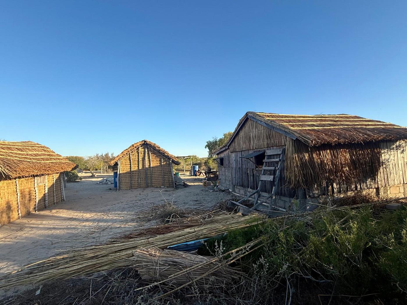 Trois cabanes en roseaux et en bois, logements de l'équipe locale
